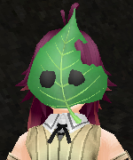 Leaf Mask